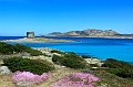 2016-04-29_124524 sardinien-2016